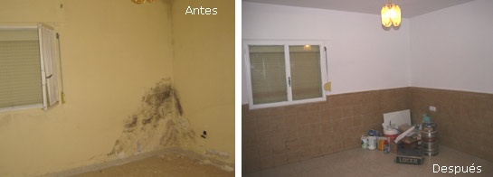 servicios de pintura / pintor